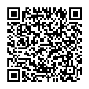 弗兰克的思路不能说是勉强――前提是奥斯卡真的得经得起挑剔和审查二维码生成