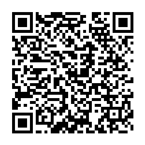 弗拉门戈教练席座位上的尼尔森奥・巴普蒂斯塔猛地从座位上站了起来二维码生成