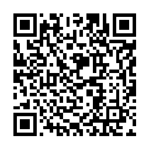 弟子们之前不是觉得掌门师弟你掌权实在太不够看么二维码生成