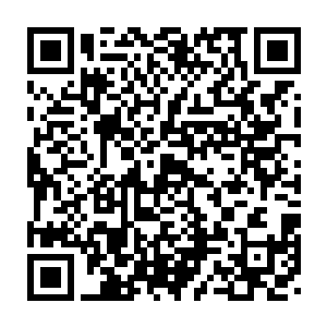 张东城不得不令袁和平和整个袁家班的人放弃了在香港过年的念头二维码生成
