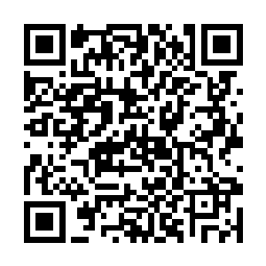 张东城和阿达曼依旧是和往常一样没大没小的开玩笑二维码生成