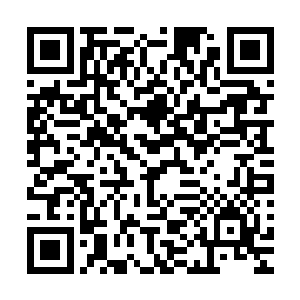 张东城安排了一个人在节目播出第六期时便拿走了一百万美元二维码生成