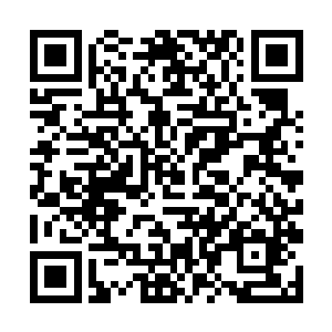 张东城笑着给最佳损友阿达曼递上一件服务生的衣服二维码生成