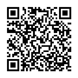 张东城终于明白为什么他会这么急匆匆的离开公司了二维码生成