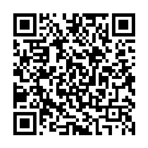 张东城自然懒得管加文的脸皮是不是被自己抽得红肿二维码生成
