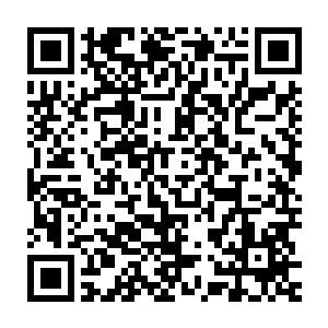 张东城这以暴制暴的手段让天性就是欺软怕硬的日本人顿时便矮了几头二维码生成