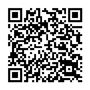 张丽敏那头纯粹就是因为张丽敏在医院撞上过陆卿好几次二维码生成