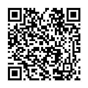 张仪伊就在饭桌上历数她在学校里是多么多么的受欢迎二维码生成