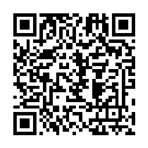 张仪伊恨不得把王九九揉成一团重新塞回自己的肚子里面二维码生成