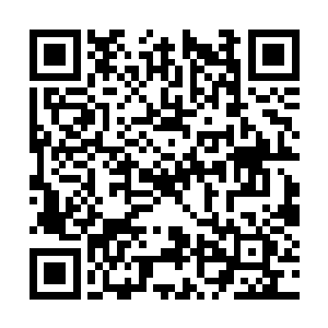 张伯开的确实都只是些治疗风寒和安神温养的方子二维码生成