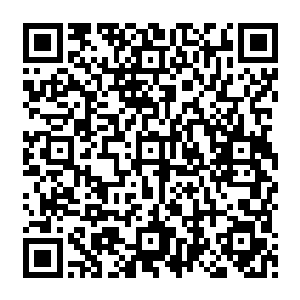 张冰玉被癫道人所提出的那些學术成果给彻底震撼到了这完全是颠覆她原有世界观的成果二维码生成