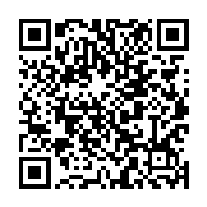 张华看着自己表弟把几块破石头小心翼翼的从货车上搬下来二维码生成