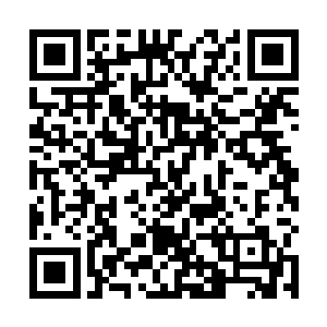 张均和沈蓉已经把行动目标指向了塔利班组织的奥巴尔二维码生成
