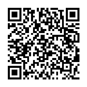 张均离开的这段时间华布衣一直在与楚士奇研讨心法二维码生成