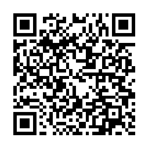 张大导演也只是开始和结束的时候象征性地动一下手而已二维码生成