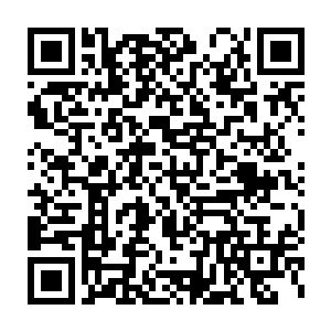 张家此刻能做主的两个男人都一脸凝重的在书房里你看我我看你的二维码生成