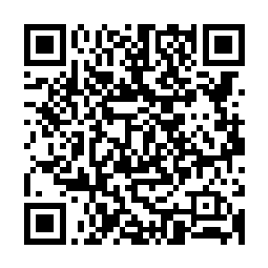 张敏的一个朋友在和张敏喝茶的时候问起了张敏两个女儿的病情二维码生成