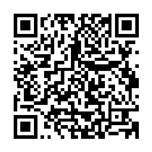 张斌也没想到给他们开门的竟然是个长得非常英俊的白人小伙子二维码生成