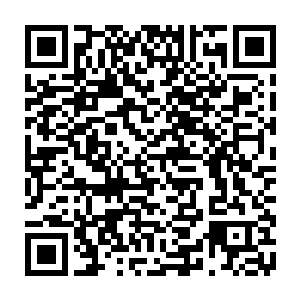 张斯国和贡国的国君尤甚――他们终于不用那么担心曦国会对自己不利了二维码生成