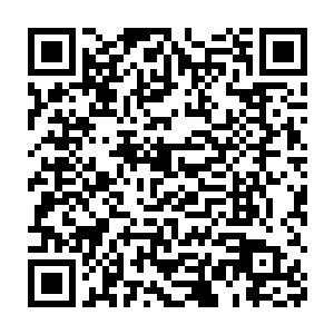 张淼奕立刻用宿舍的电脑上网再度确认了一下这一百亿真的到账了之后二维码生成