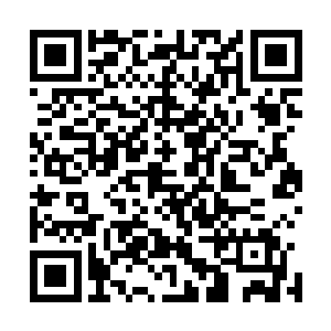 张潇晗他们已经快要将第二只出现的幽魂磨得看不到影子了二维码生成