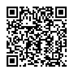 张潇晗几乎可以感知到灵药在丹炉内的每一处细微的变化二维码生成