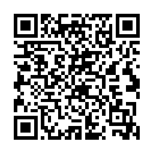 张潇晗呆呆地听着小宝满不在乎地将过程轻描淡写地道来二维码生成