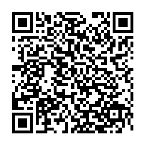 张潇晗和峒箫就被阻拦在同样一望无际的带刺带勾的这种草木中间二维码生成