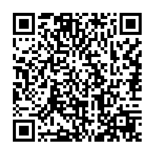 张潇晗和火狐小宝目瞪口呆地望着破损的戒指和安然无恙的云雷石二维码生成