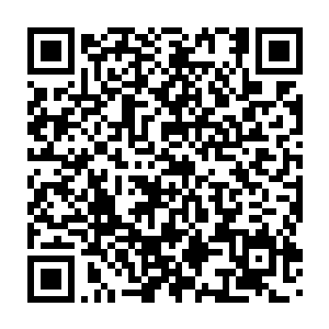 张潇晗对妖修的好感度要大于人修的――妖族这般说话也是正常的二维码生成