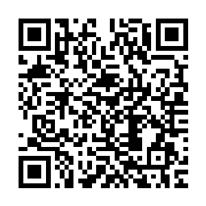 张潇晗很不明白神兽为什么不会对这里的灵兽有大的震慑作用二维码生成