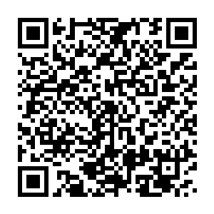 张潇晗忽然间明白范筱梵他们为什么一见到小宝就要出手的原因了二维码生成