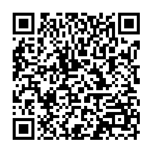 张潇晗猜想在座的修士不会舍得出大价钱的――这本心得若是放在内层拍卖场上二维码生成
