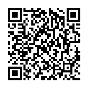 张潇晗的神识才算是真正可以抵御外来的神识攻击二维码生成