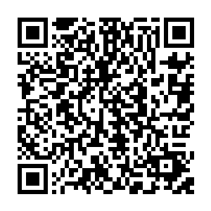 张潇晗眼看着就有一把飞剑在几十条金鳞鱼长尾的轮流拍击下失去了灵性二维码生成