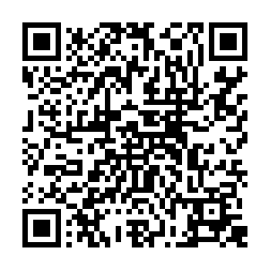 张潇晗知道木槿所言是通过蓝优调取范筱梵和巫行云的身份玉符进出城池的记录二维码生成