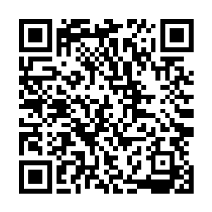 张潇晗还没有见到过妖兽体内的妖丹――鲛鱼和小宝的不算二维码生成