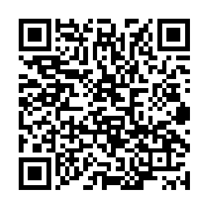张磊忙让矿管所所长赵立带人去看看林生等人的动向二维码生成