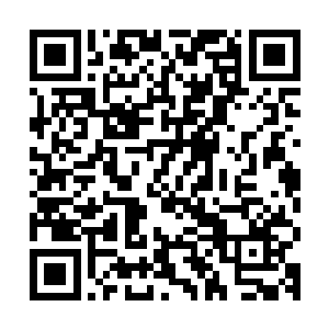 张萧晗同其他修士一样目瞪口呆地看着眼前让人不敢相信的一幕二维码生成