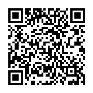 张萧晗想起自己在上古丹宗内得到的玉简上介绍的阵法二维码生成