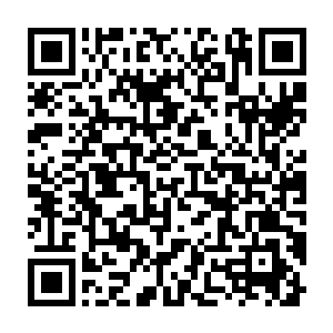 张铁不止一次发现被人杀死的拓荒者和无法辨别身份的部分人员的尸体二维码生成