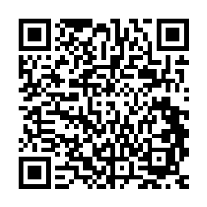 张铁伸手接过窗口里的漂亮妹妹从机器卡槽中退出来的家族碟牌二维码生成