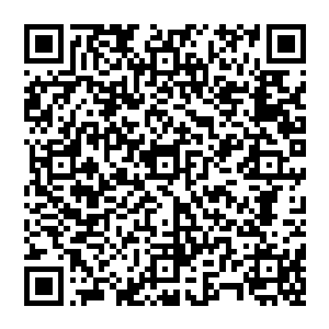 张铁在庄园的一个会客厅中与金鹏银行的徐涛经理完成了部落轴心铁路计划的股票融资发行项目的洽谈二维码生成