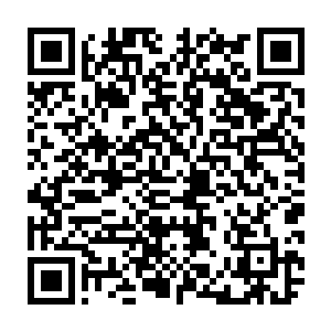 张铁早已经在房间里吃下消化了三颗黄金独角仙的力量和一颗花毛贝的救赎之果二维码生成