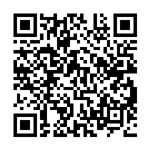张铁现在体内的爆骨针的能量已经化解了差不多三分之一二维码生成