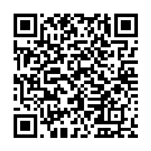 张铁的成长经历也根本没接触和学习过任何巫毒丹药师的技能二维码生成