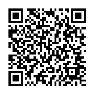 张铁看着光辉之果和血脉之果下面出现的这两段熟悉无比的文字二维码生成