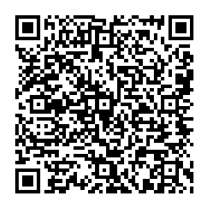 张铁知道学校里有和自己情况一样的同学家里这个时候已经在打点着小儿子们离家远行的行装和各种准备了二维码生成