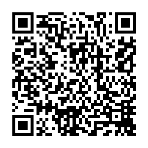 张铁获得的尸毒瘴在不同的分组实验中完成变异的品种其实已经超过了上千种二维码生成