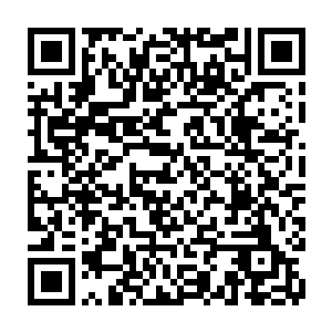 张铁都可以清楚感觉到那些小鱼从桶里面回归大海那一瞬间对自由的欢呼二维码生成